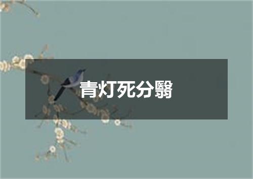 青灯死分翳