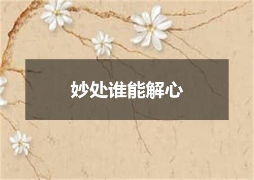 妙处谁能解心