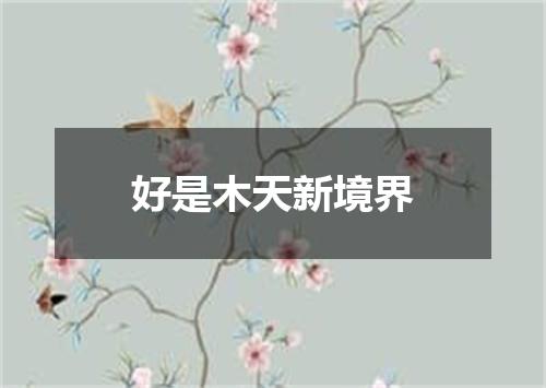 好是木天新境界