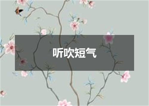 听吹短气