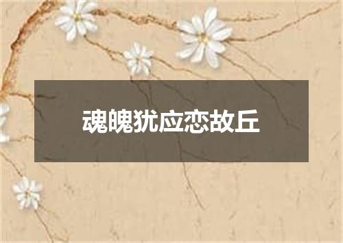 魂魄犹应恋故丘