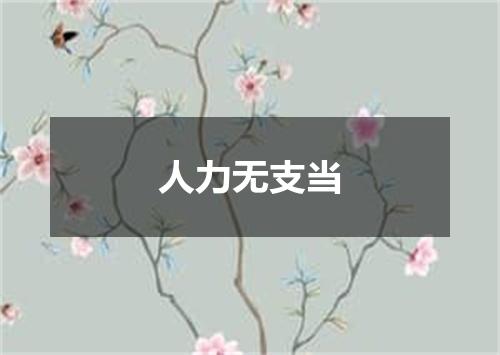 人力无支当
