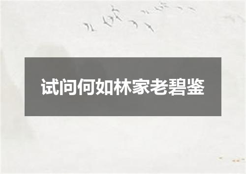 试问何如林家老碧鉴