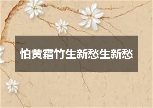 怕黄霜竹生新愁生新愁