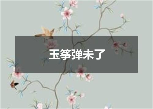 玉筝弹未了