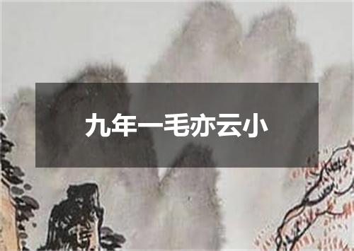 九年一毛亦云小