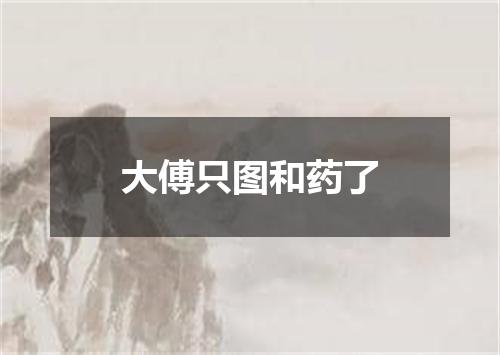 大傅只图和药了
