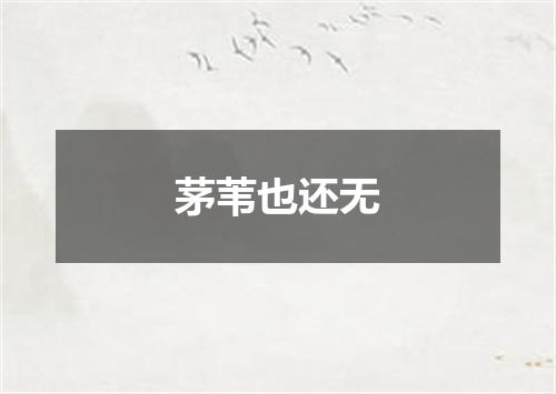 茅苇也还无