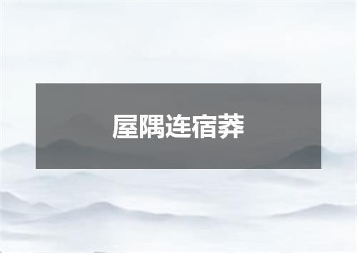 屋隅连宿莽