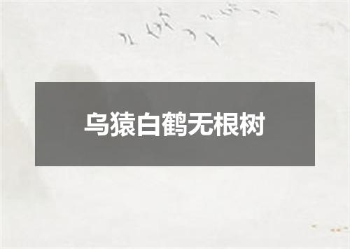 乌猿白鹤无根树