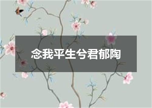 念我平生兮君郁陶