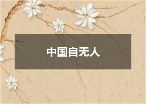 中国自无人