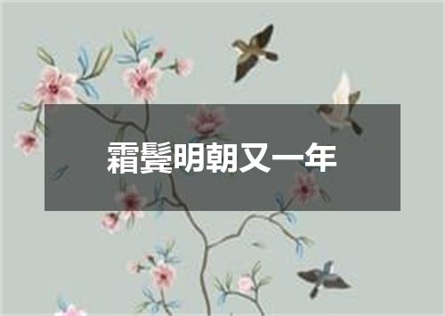 霜鬓明朝又一年