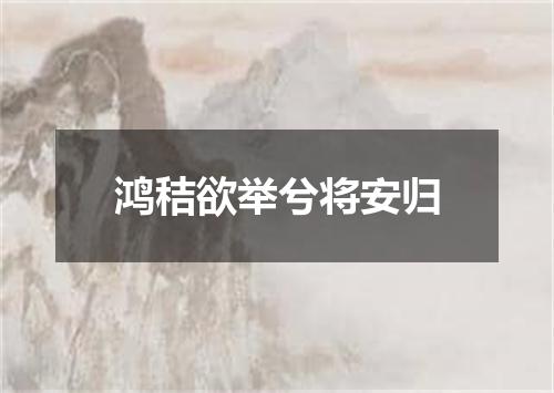 鸿秸欲举兮将安归