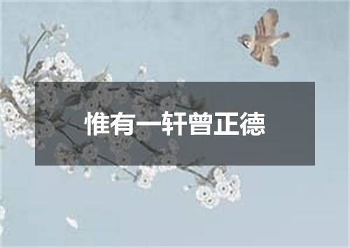 惟有一轩曾正德