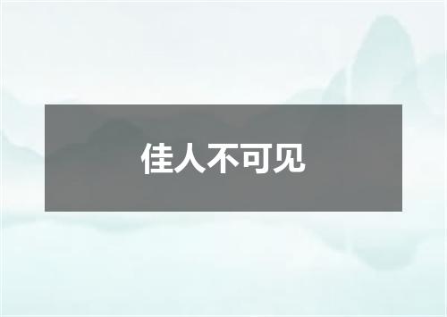 佳人不可见