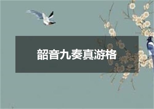 韶音九奏真游格