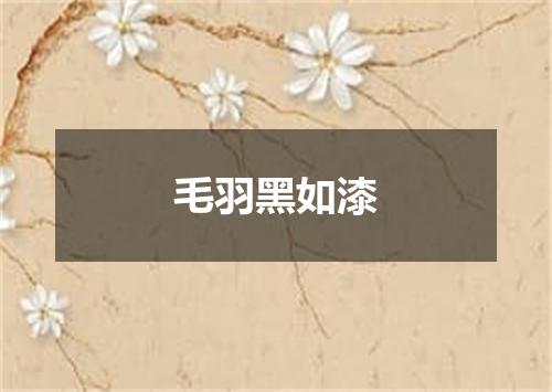 毛羽黑如漆