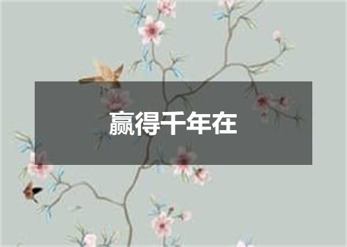 赢得千年在