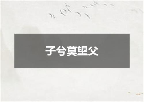 子兮莫望父