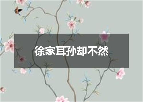 徐家耳孙却不然