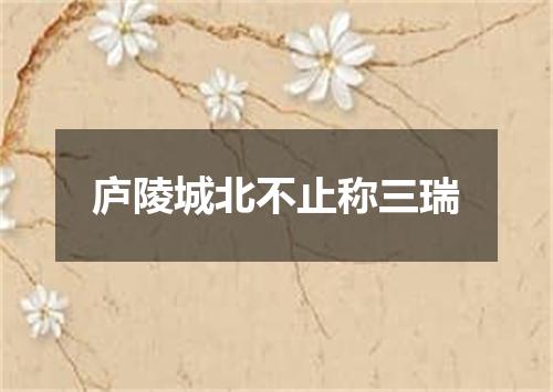 庐陵城北不止称三瑞