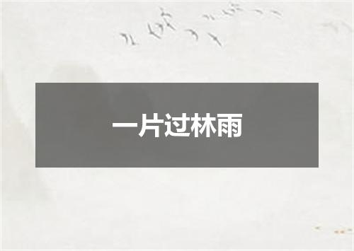 一片过林雨