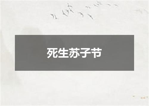 死生苏子节