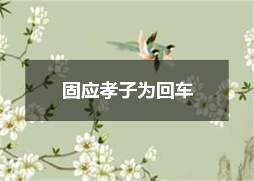 固应孝子为回车