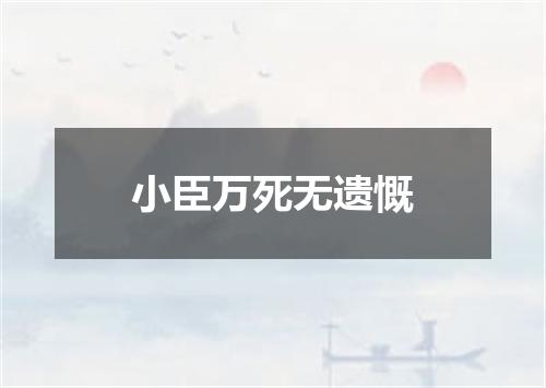 小臣万死无遗慨