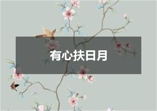 有心扶日月