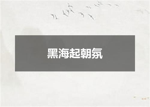 黑海起朝氛