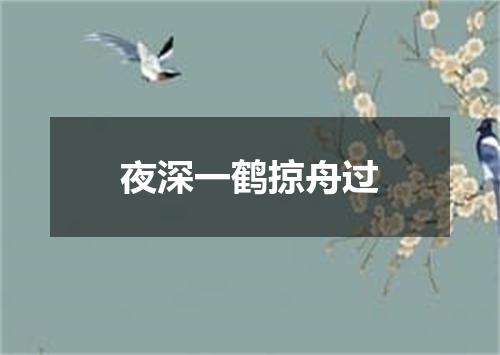 夜深一鹤掠舟过