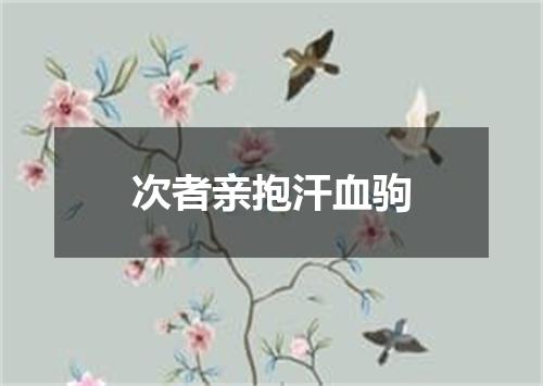 次者亲抱汗血驹
