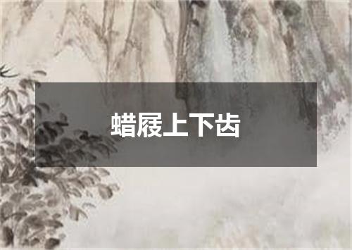 蜡屐上下齿