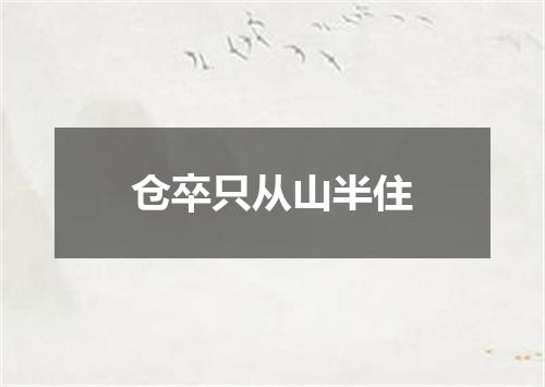 仓卒只从山半住