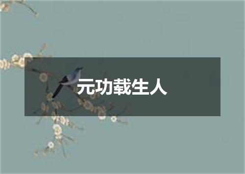 元功载生人