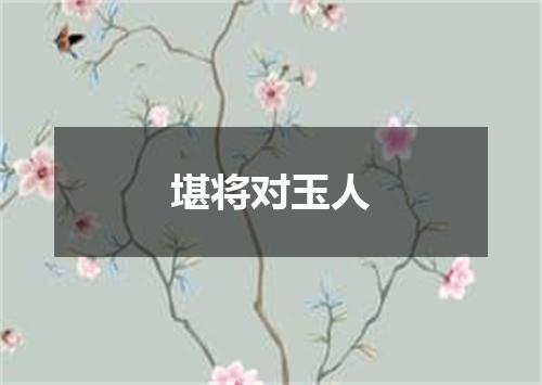 堪将对玉人