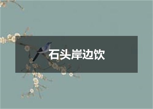 石头岸边饮