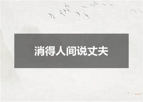 消得人间说丈夫