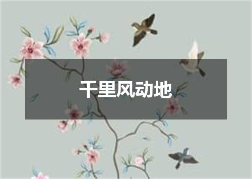 千里风动地