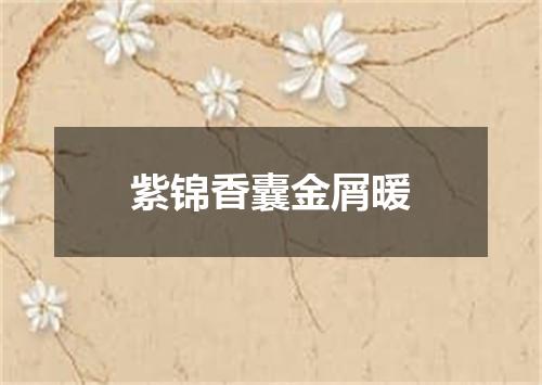 紫锦香囊金屑暖