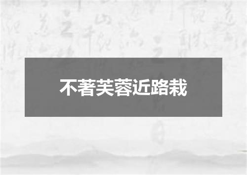 不著芙蓉近路栽