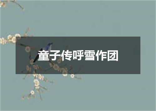 童子传呼雪作团