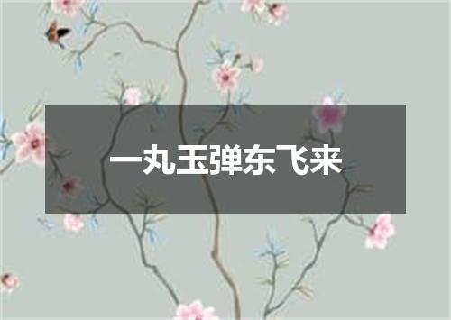 一丸玉弹东飞来