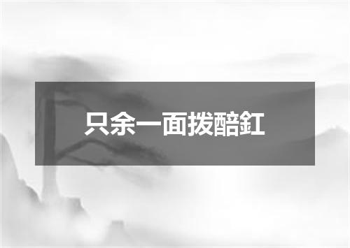 只余一面拨醅釭