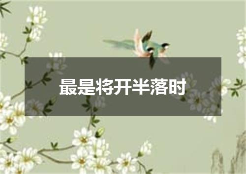 最是将开半落时