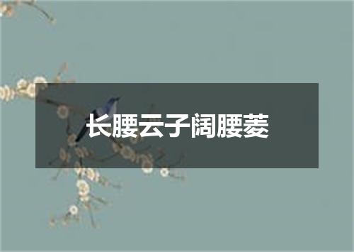 长腰云子阔腰菱