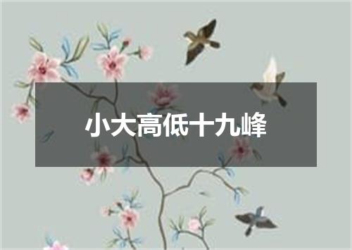 小大高低十九峰