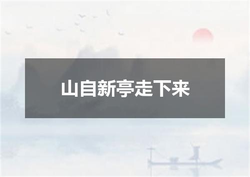 山自新亭走下来